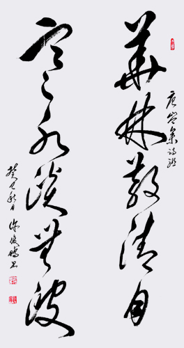 唐岑参诗联-草书对联-138cm×35cm×2-2013-华林散清月，寒水淡无波。.jpg