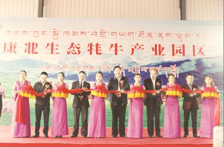 1503396199309226.jpg 3.jpg