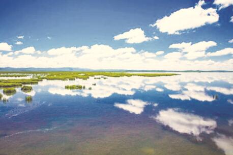 1503397464103228.jpg 4.jpg