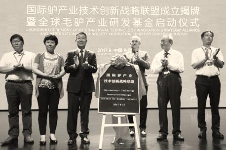 1503483349116340.jpg 3.jpg