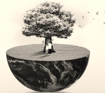 1503486145343694.jpg 2.jpg