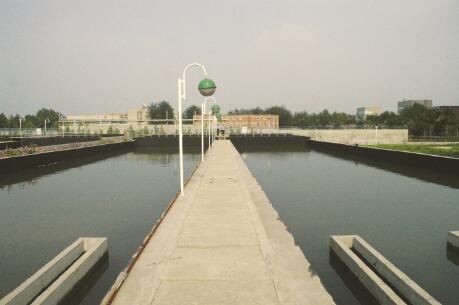 1503579432107557.jpg 1.jpg