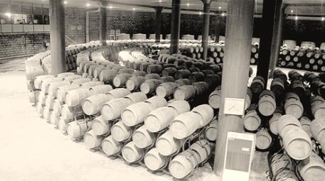 1503660486103297.jpg 1.jpg