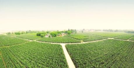 1503666234144974.jpg 2.jpg