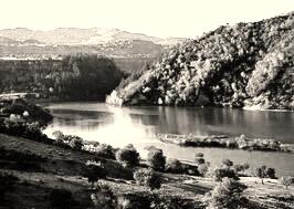 1503927194240074.jpg 3.jpg