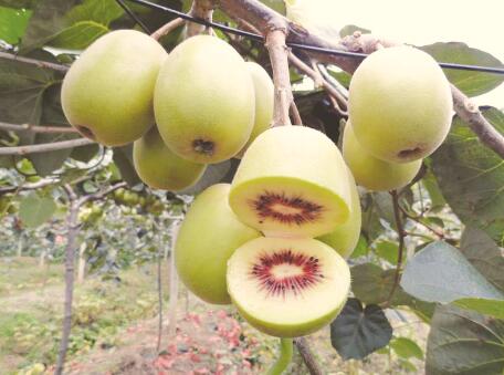 1504087833107519.jpg 2.jpg