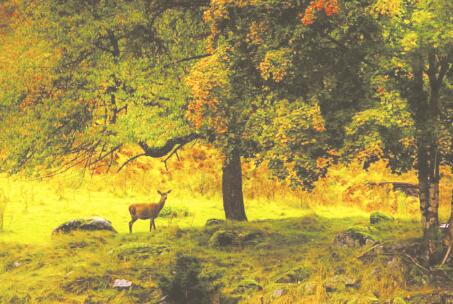 1504226182102140.jpg 1.jpg