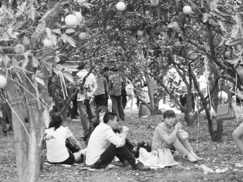 1504607224134117.png 1.png