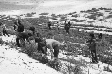 1504607312898202.png 2.png