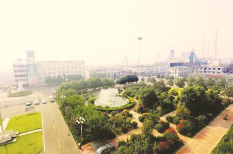 1505305989269551.jpg 3.jpg