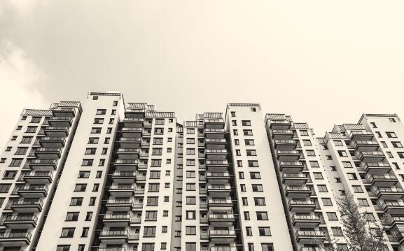 1507553428109119.jpg 1.jpg