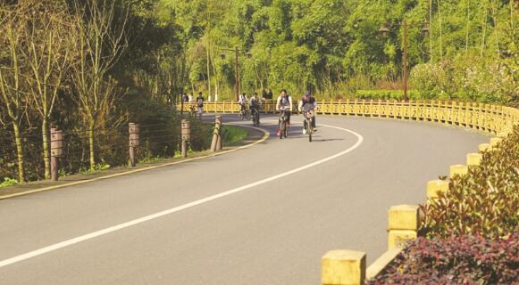 1508848310324115.jpg 3.jpg