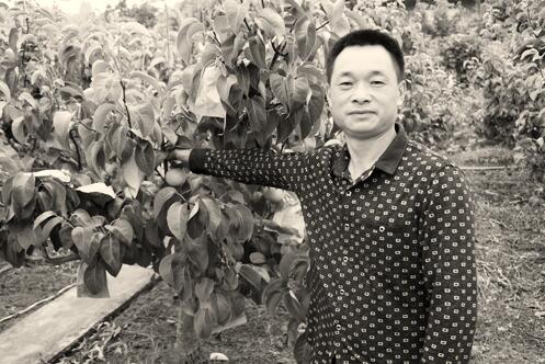 1508848572491982.jpg 1.jpg