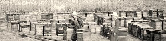 1508848605140559.jpg 3.jpg