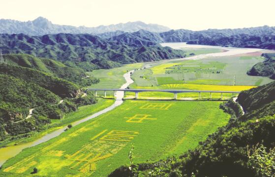 1508851866465603.jpg 1.jpg