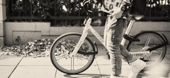 1508927768242613.jpg 1.jpg