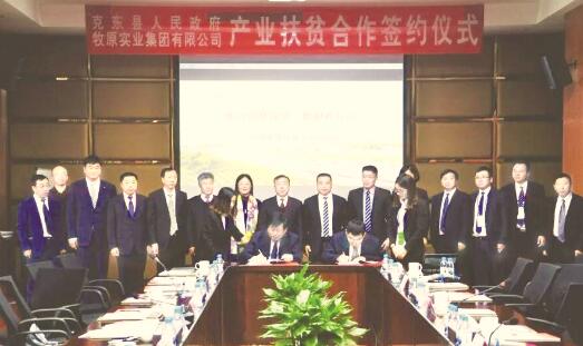 1519980186531614.jpg 1.jpg