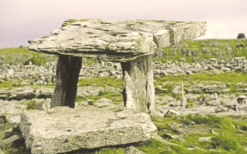 1539079872229875.jpg 3.jpg