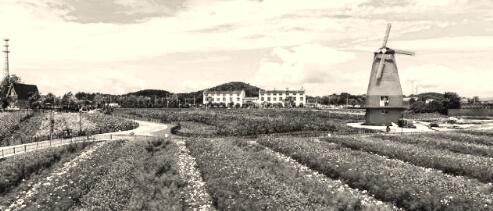 1539256023465646.jpg 1.jpg