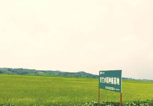 1539332583122089.jpg 3.jpg