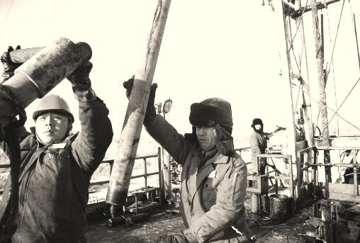 1547729830517758.jpg 1.jpg