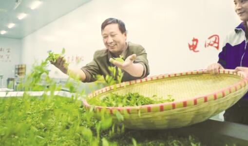 1549764753176516.jpg 3.jpg