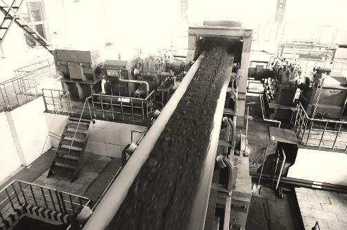 1549878278424551.jpg 2.jpg