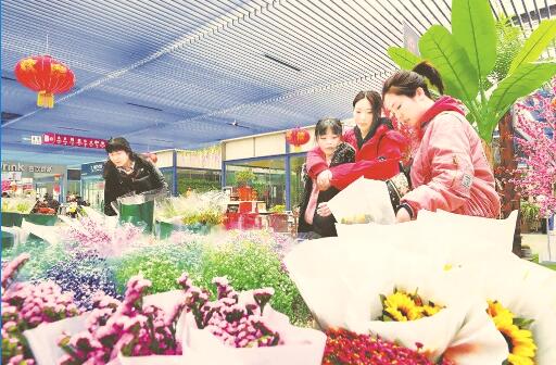 1549878937333453.jpg 1.jpg