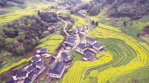 1549880292964385.jpg 3.jpg