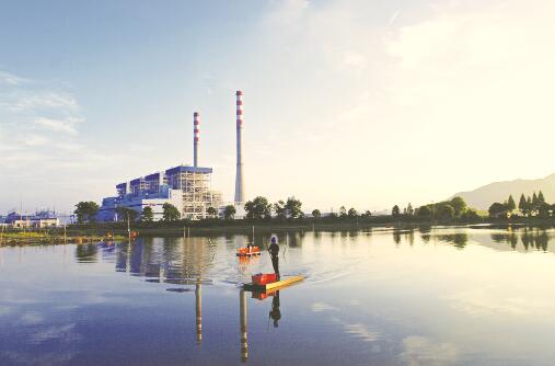 1550742515782619.jpg 2.jpg