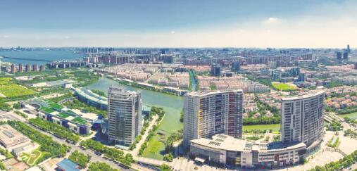 1550824058788471.jpg 1.jpg