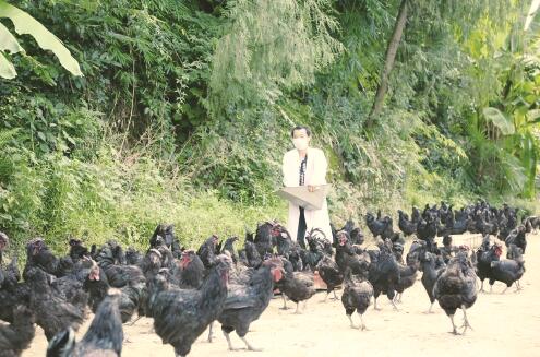 1563962394326525.jpg 1.jpg