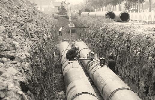 1563967784113724.jpg 1.jpg