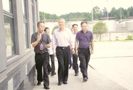 1564049291116710.jpg 2.jpg