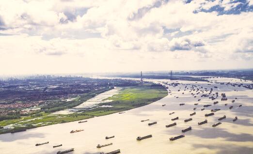 1565702117552614.jpg 3.jpg