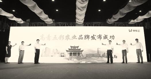 1565966992134547.jpg 1.jpg