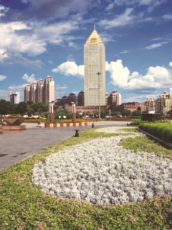 1565969247892479.jpg 2.jpg