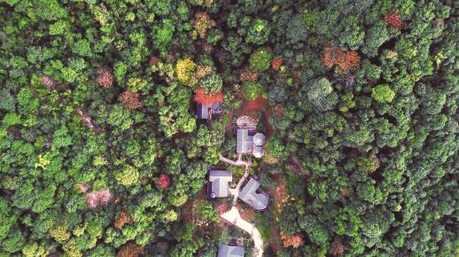 1565969281629382.jpg 3.jpg