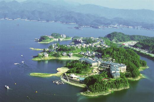 1565969333764846.jpg 5.jpg