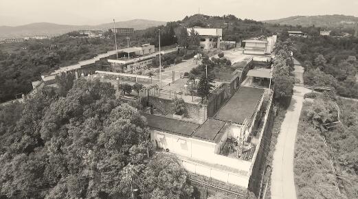 1566310240962104.jpg 1.jpg