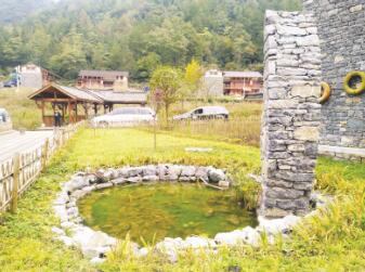 1578665204501030.jpg 1.jpg