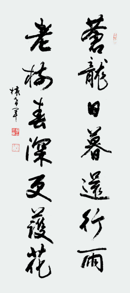 1579604884787385.jpg 权希军 苍龙老树对联.jpg