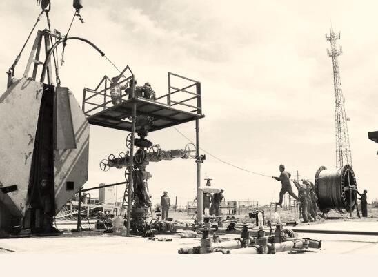 1580437819829540.jpg 1.jpg