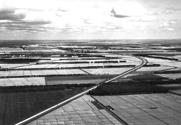 1585304223147517.jpg 4.jpg