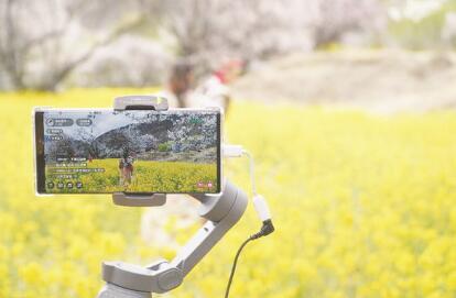 1586866819349479.jpg 2.jpg