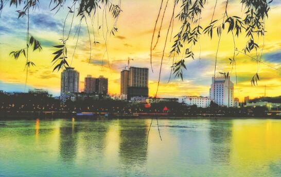 1587720800977473.jpg 1.jpg