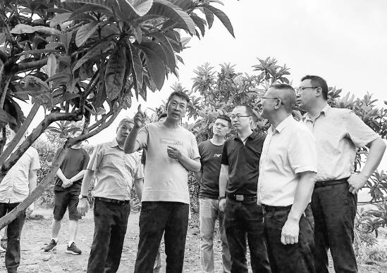 1594289400325950.jpg 2.jpg