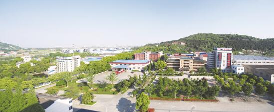 1594432477203034.jpg 1.jpg