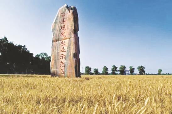 1594992646164459.jpg 2.jpg