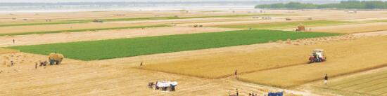 1594992715700815.jpg 3.jpg